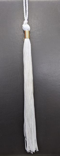 College of Arts & Sciences Tassel