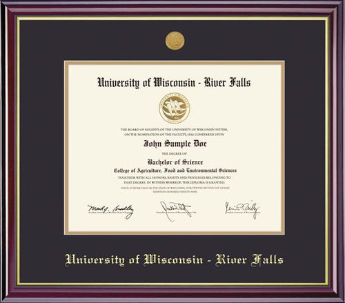 University of Wisconsin - River Falls 8'' x 10'' Windsor Diploma Frame