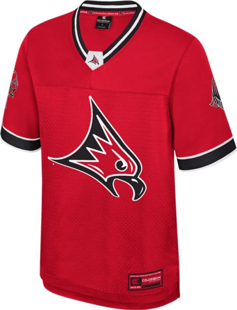 University of Wisconsin - River Falls Nothing but the Hits Football Jersey